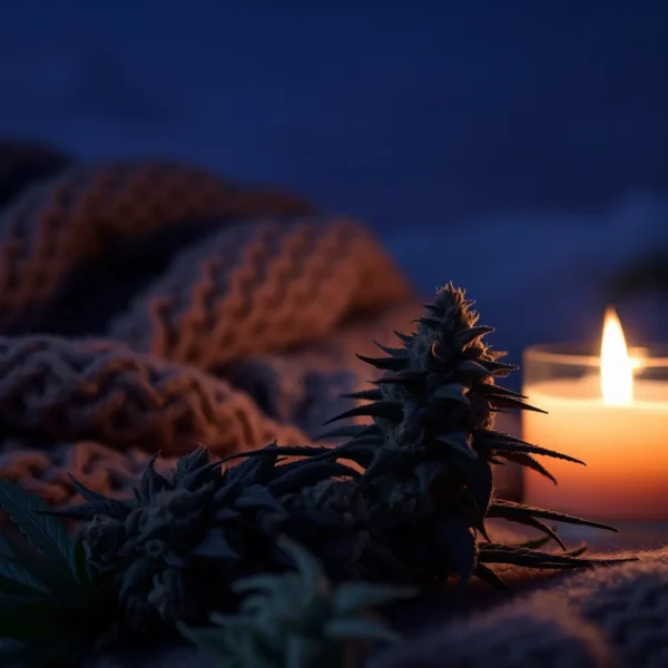 Indica – Relaxing Body High